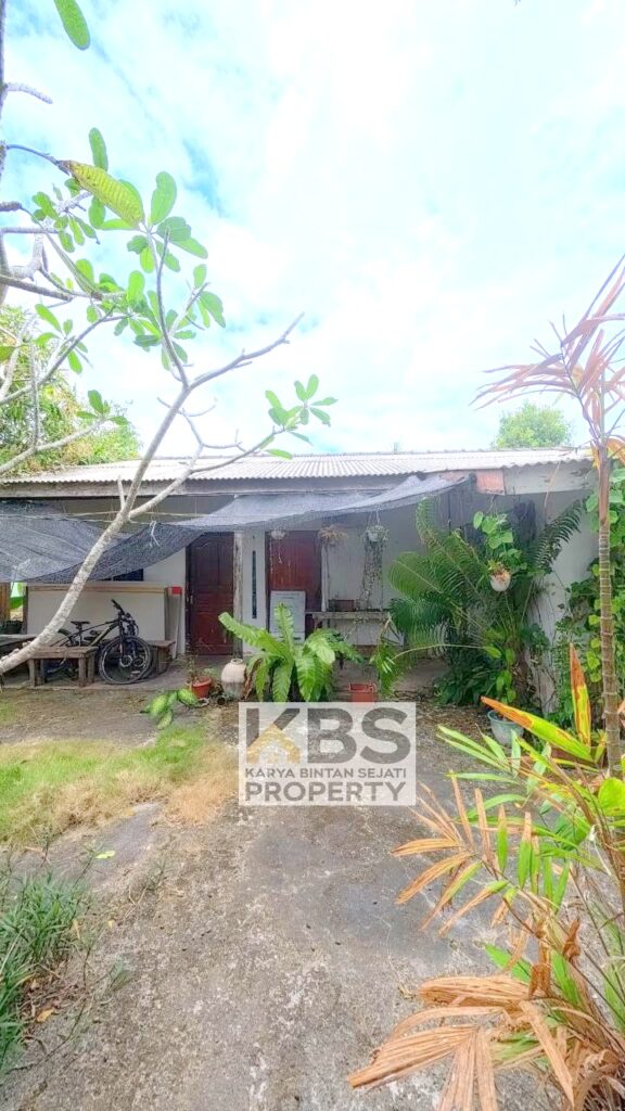 Photo 2026 02 10 20 24 21 3