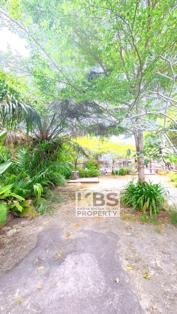 Photo 2026 02 10 20 24 21