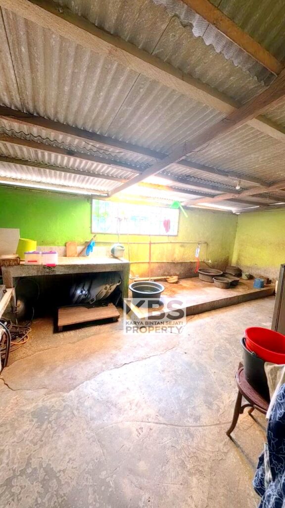 Photo 2026 02 10 20 29 50 4