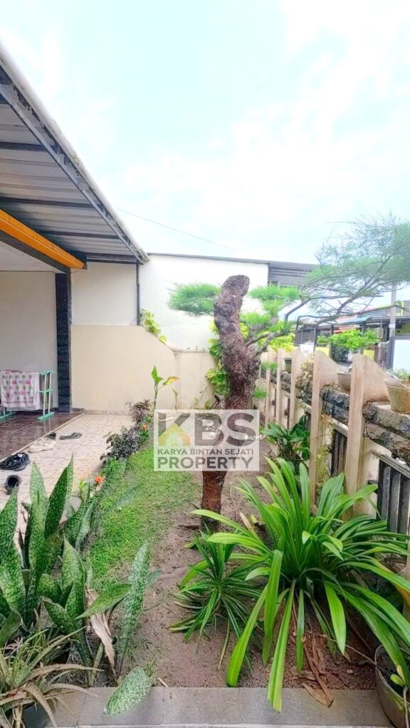 Photo 2026 02 13 11 13 57 3