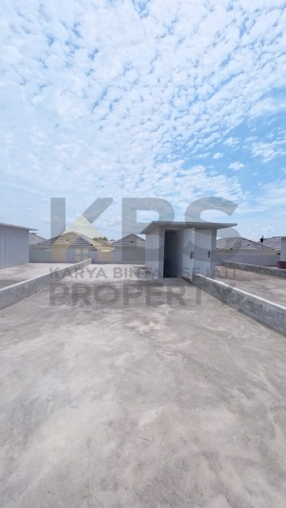 Photo 6059844391465062818 y (1)