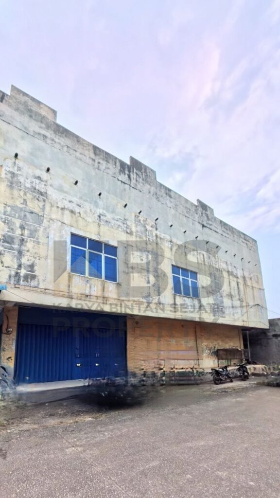 Photo 6336903317161708898 y