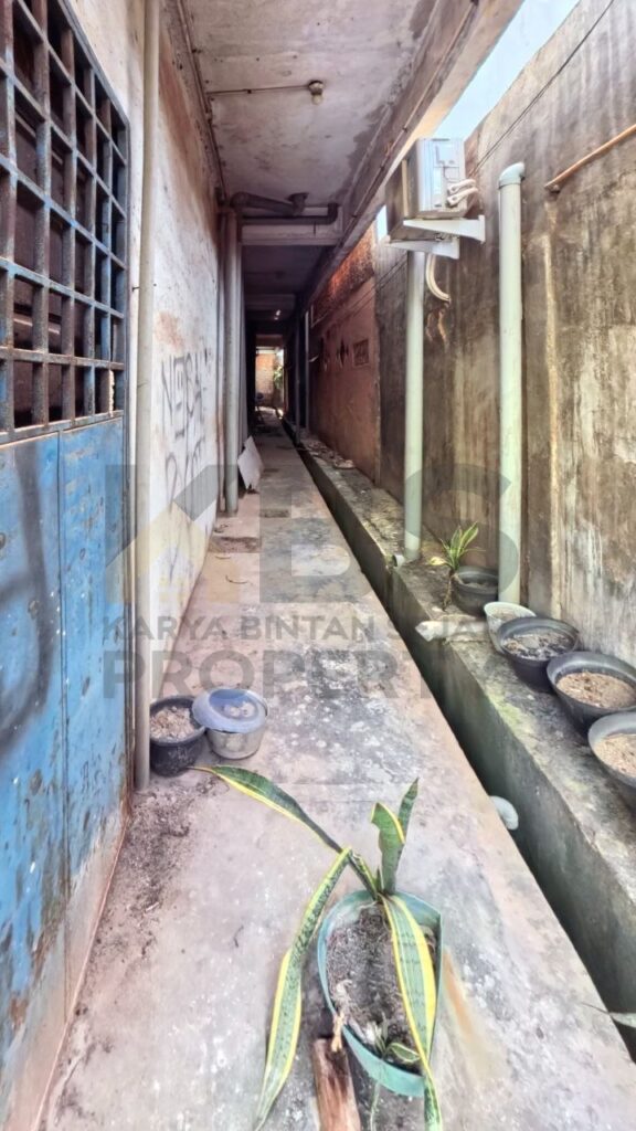 Photo 6336903317161708899 y