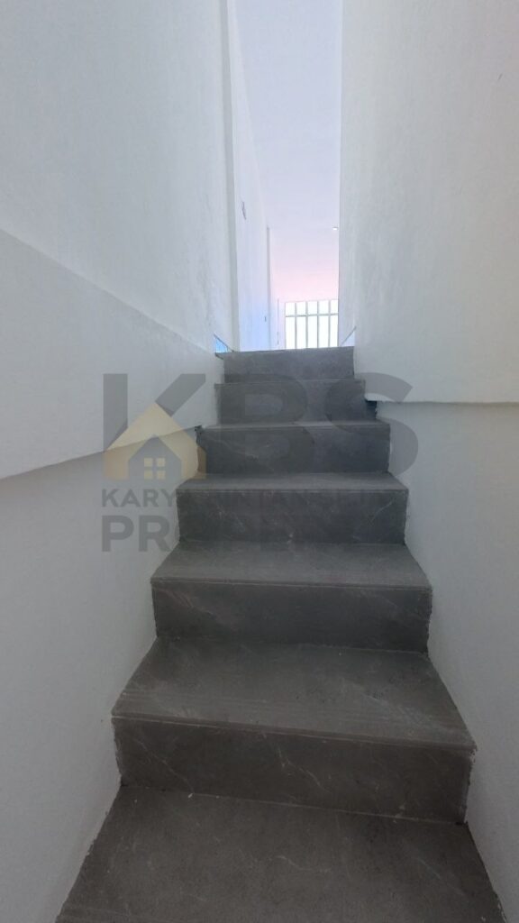 Photo 2026 03 25 15 30 52 7