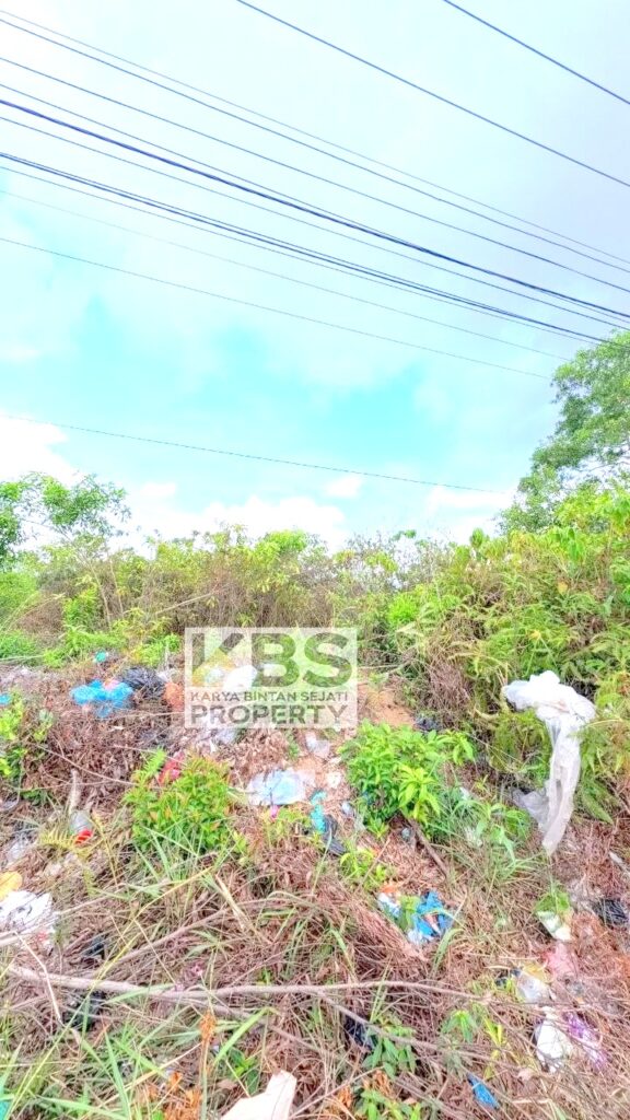 Photo 2026 04 07 14 34 42