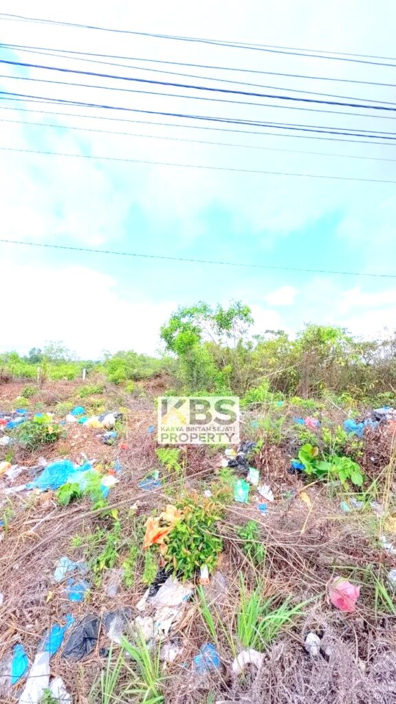 Photo 2026 04 07 14 34 43