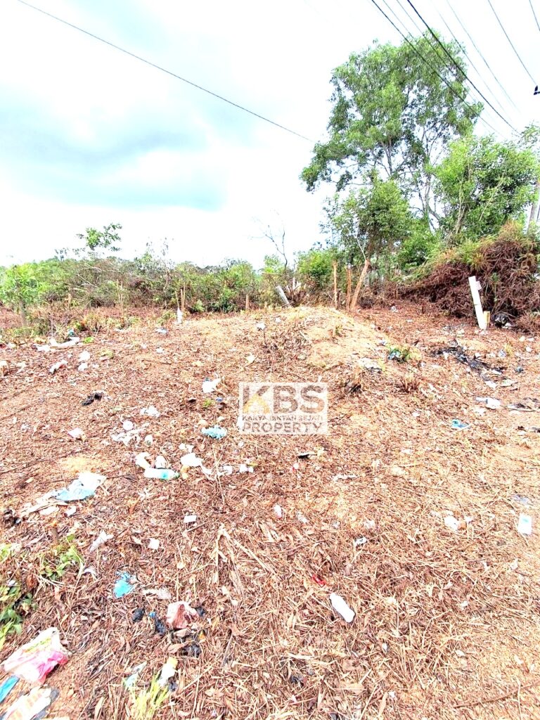 Photo 2026 04 09 11 12 56