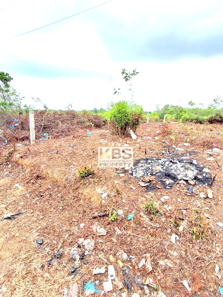 Photo 2026 04 09 11 12 57