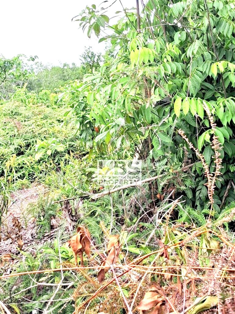 Photo 2026 04 09 11 12 58 2