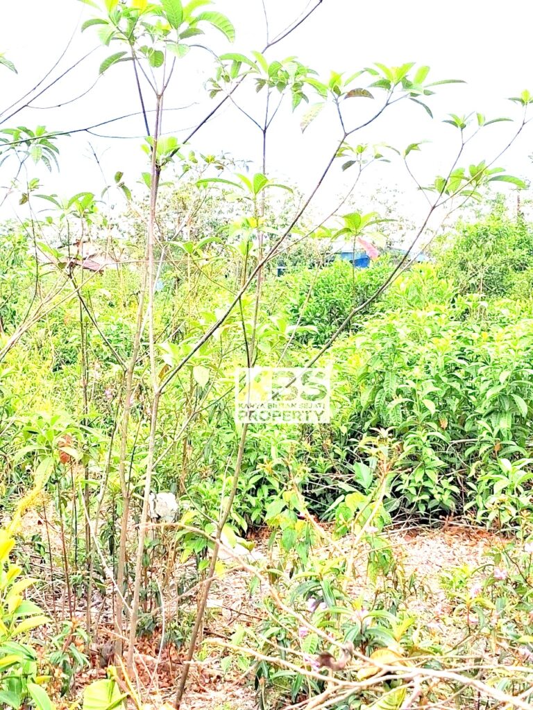 Photo 2026 04 09 11 12 58