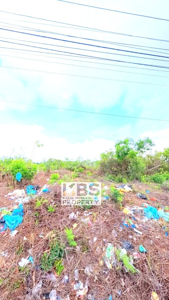 Photo 2026 04 09 16 48 35