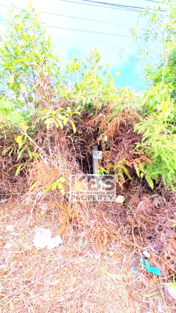 Photo 2026 04 09 16 48 43