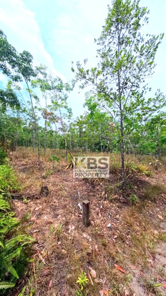 Photo 2026 04 14 14 06 27 2