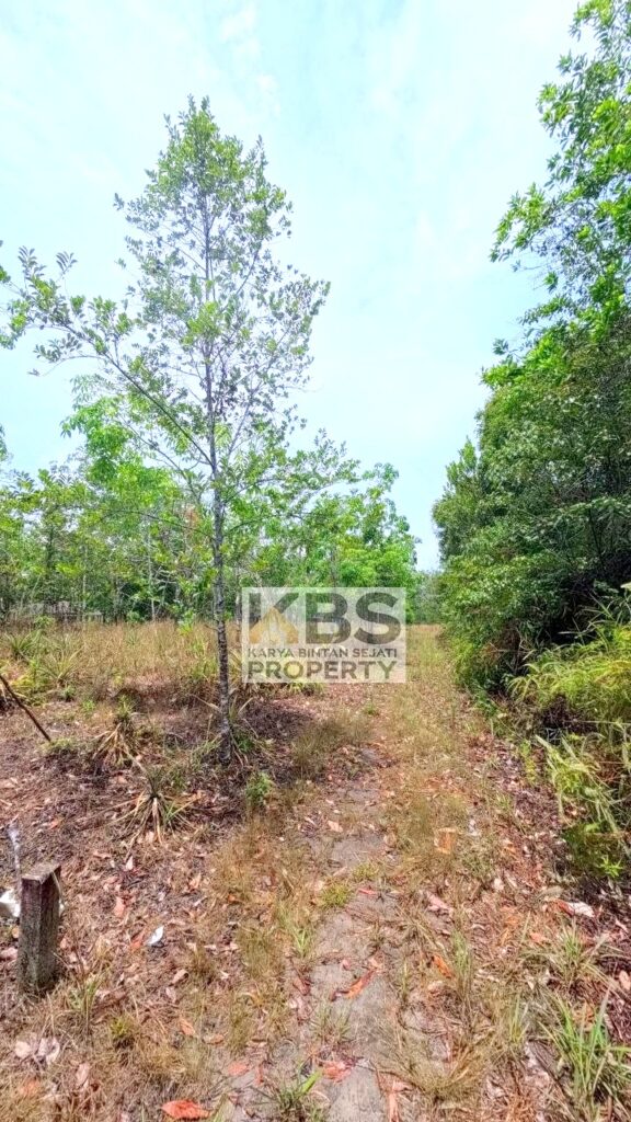 Photo 2026 04 14 14 06 27 3