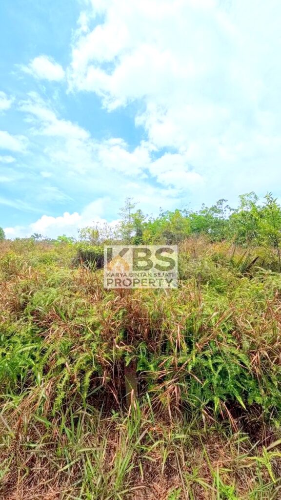 Photo 2026 04 14 14 06 27 4