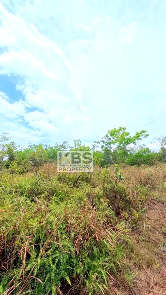 Photo 2026 04 14 14 06 27 5