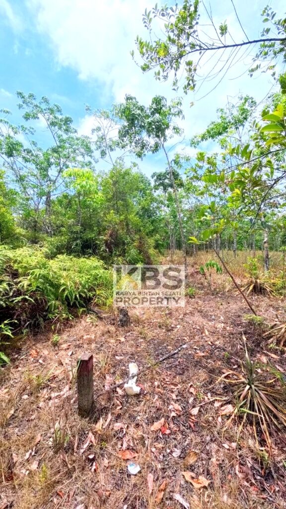 Photo 2026 04 14 14 06 27