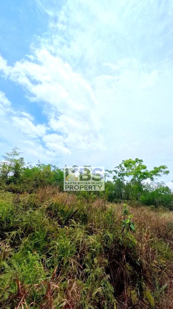 Photo 2026 04 14 14 06 28 2