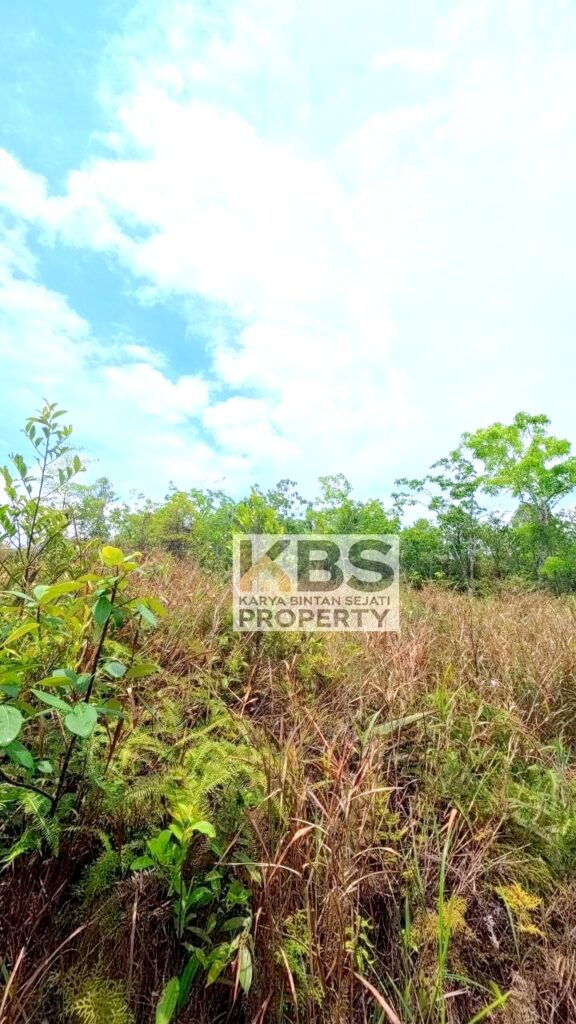 Photo 2026 04 14 14 06 28 3