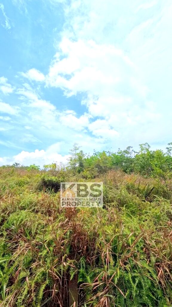 Photo 2026 04 14 14 06 28