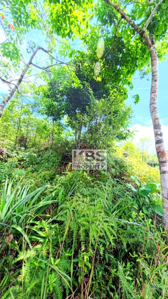 Photo 2026 04 14 14 06 29