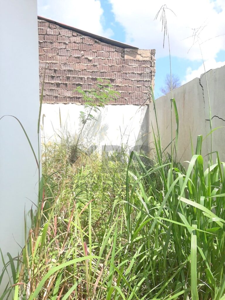 Photo 2021 04 21 15 59 29