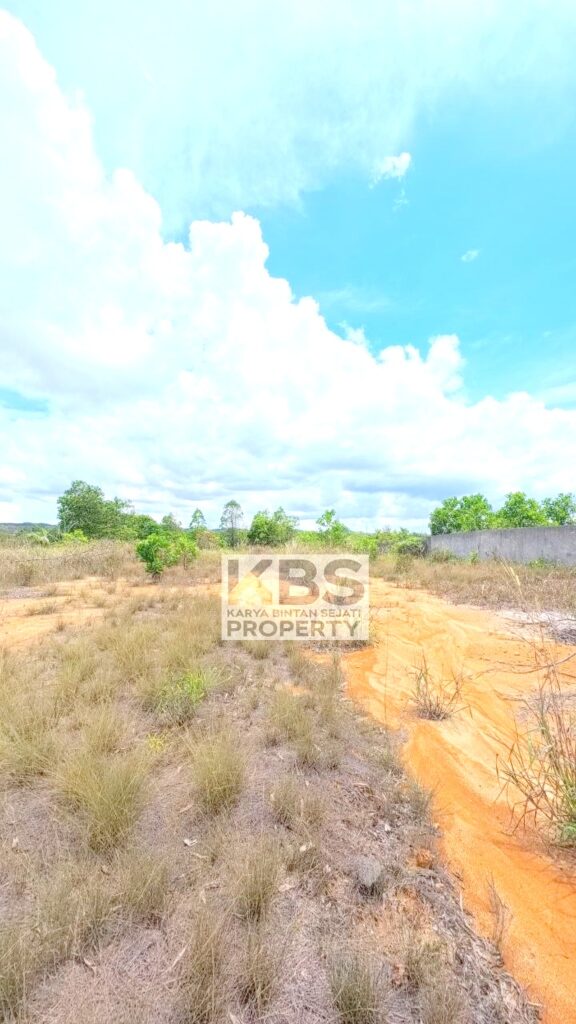 Photo 2026 05 08 13 56 02 2