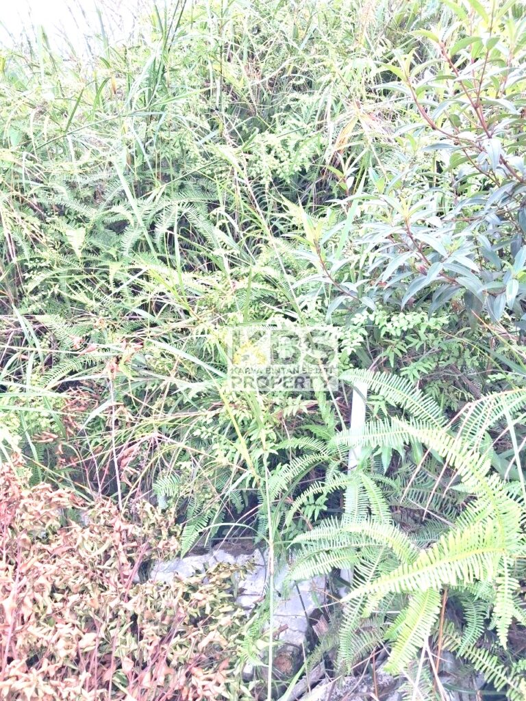 Photo 2026 05 26 09 38 20