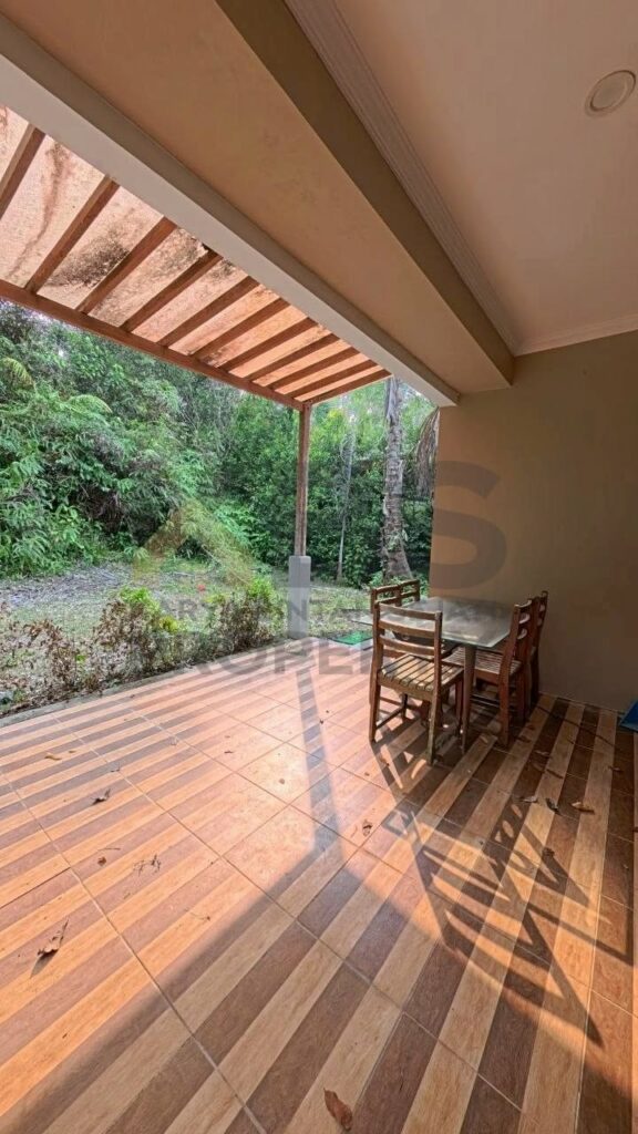 842018699 3237330249991537 3264567037646676009 n
